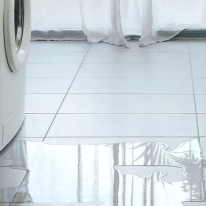 Appliance Leak Cleanup in Frostproof, FL